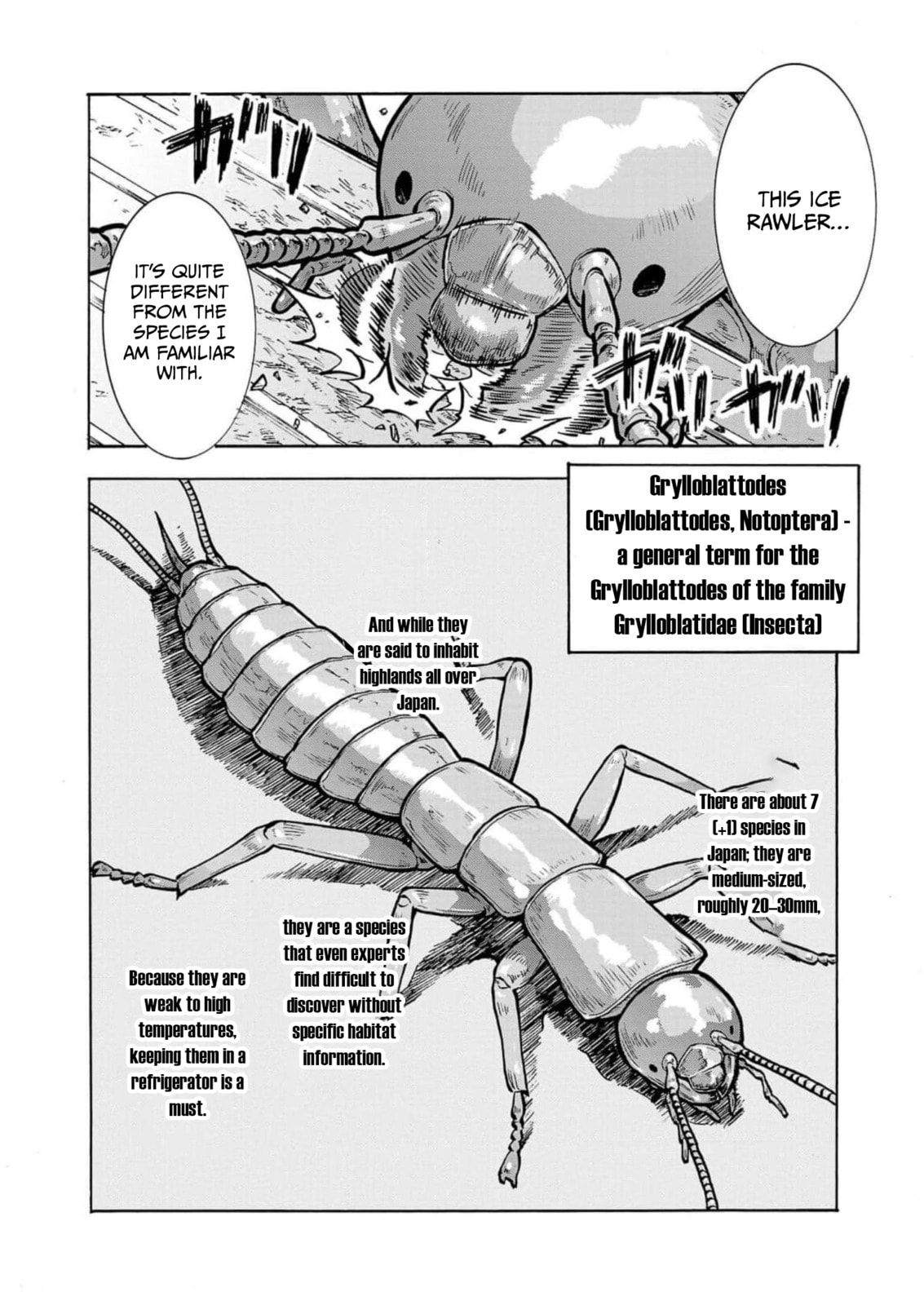 Giant Insect Archipelago Chapter 32 page 36 - 