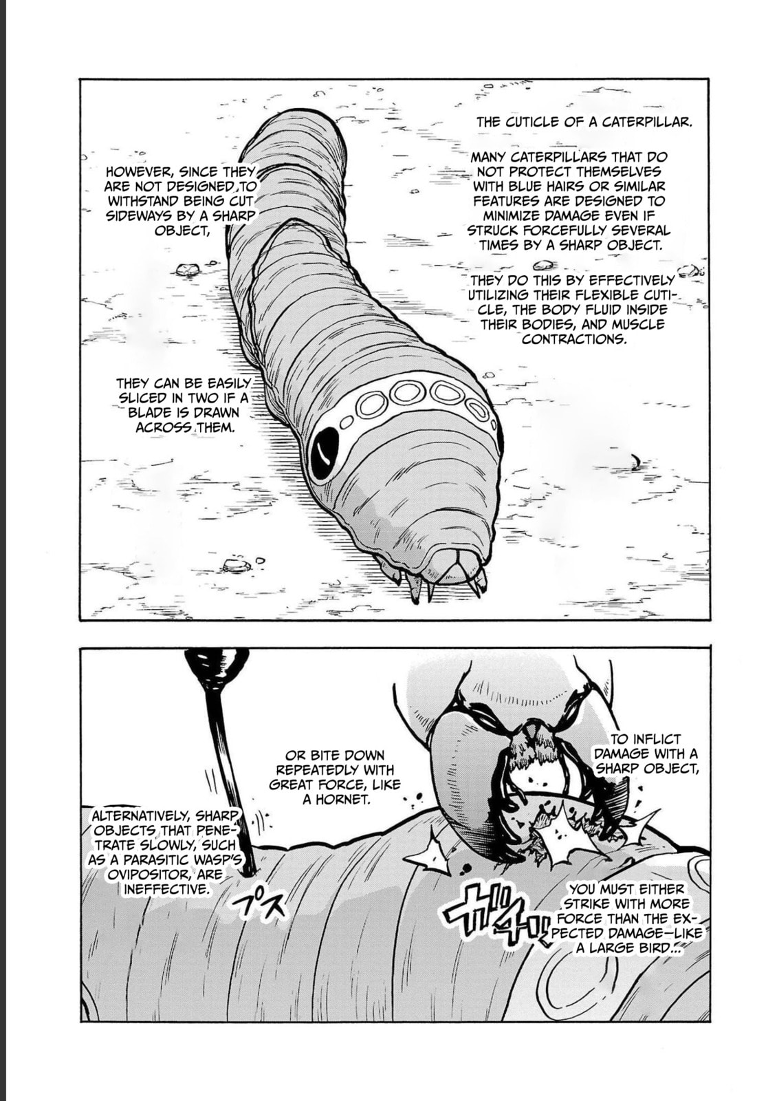Giant Insect Archipelago Chapter 35 page 23 - 