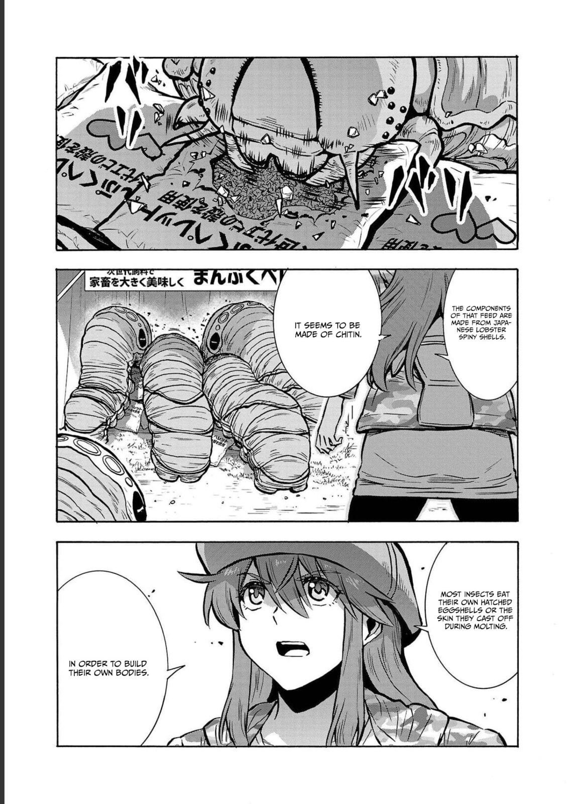 Giant Insect Archipelago Chapter 35 page 29 - 