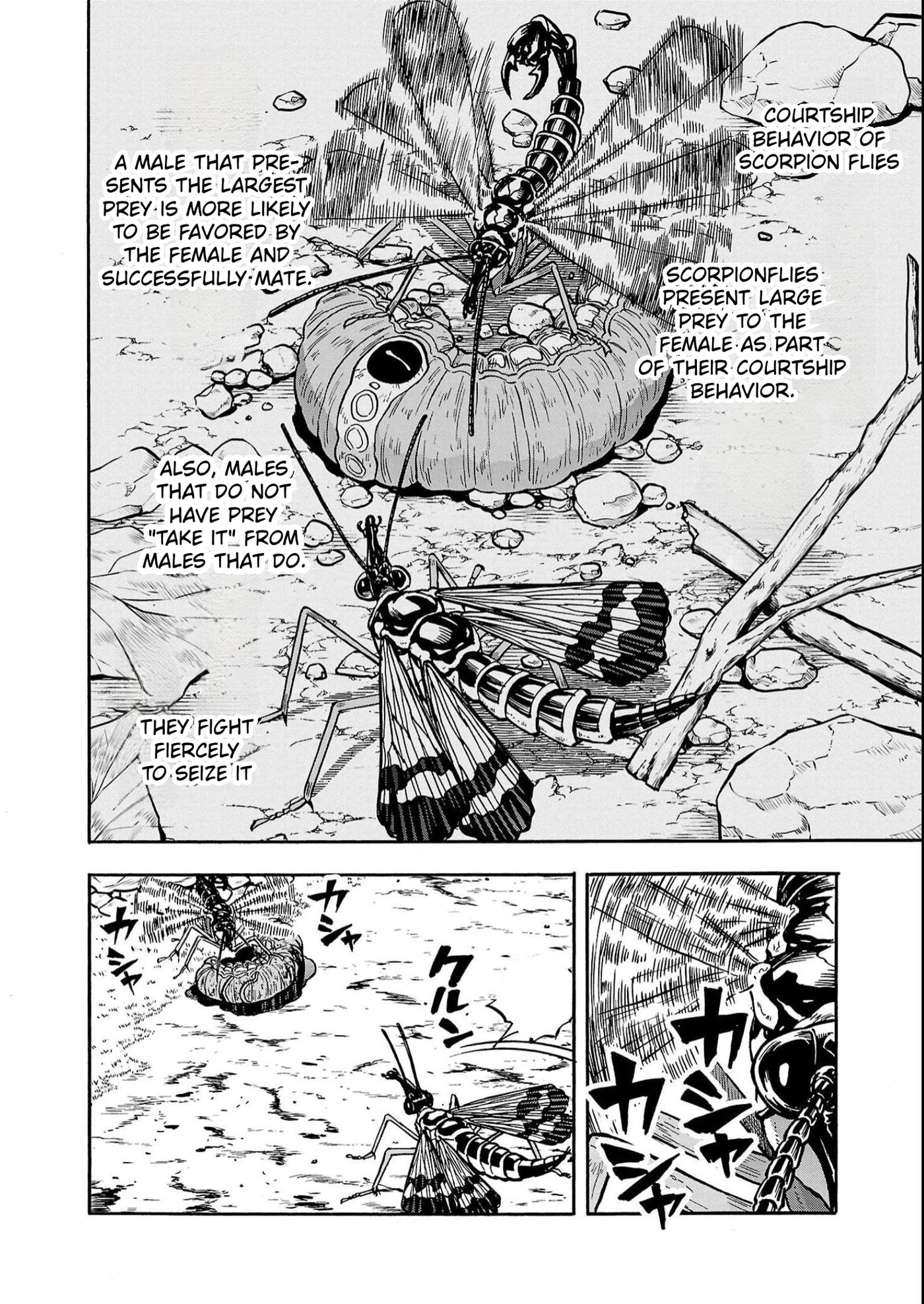 Giant Insect Archipelago Chapter 37 page 16 - 