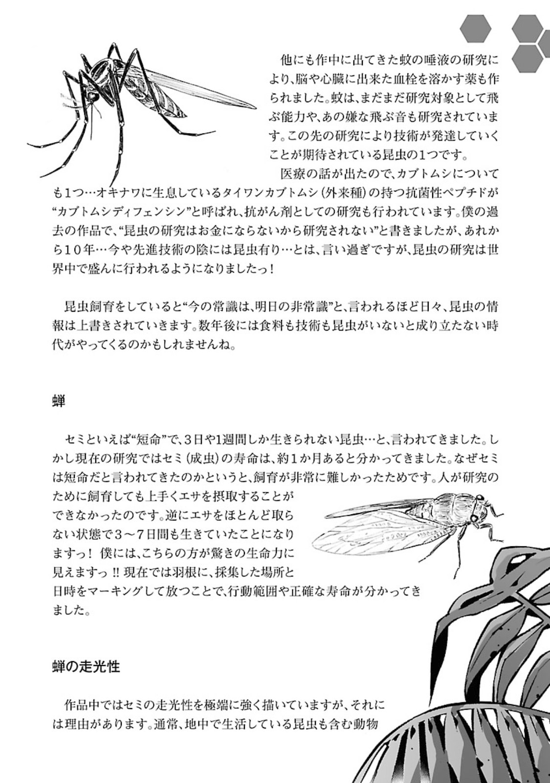 Giant Insect Archipelago Chapter 8 page 41 - 