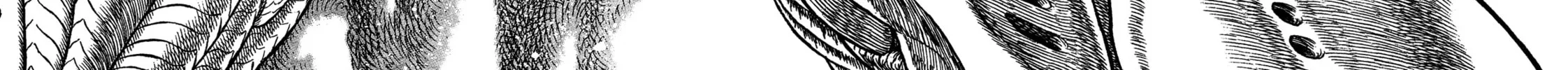 Giganto Maxia Chapter 4 page 30 - 