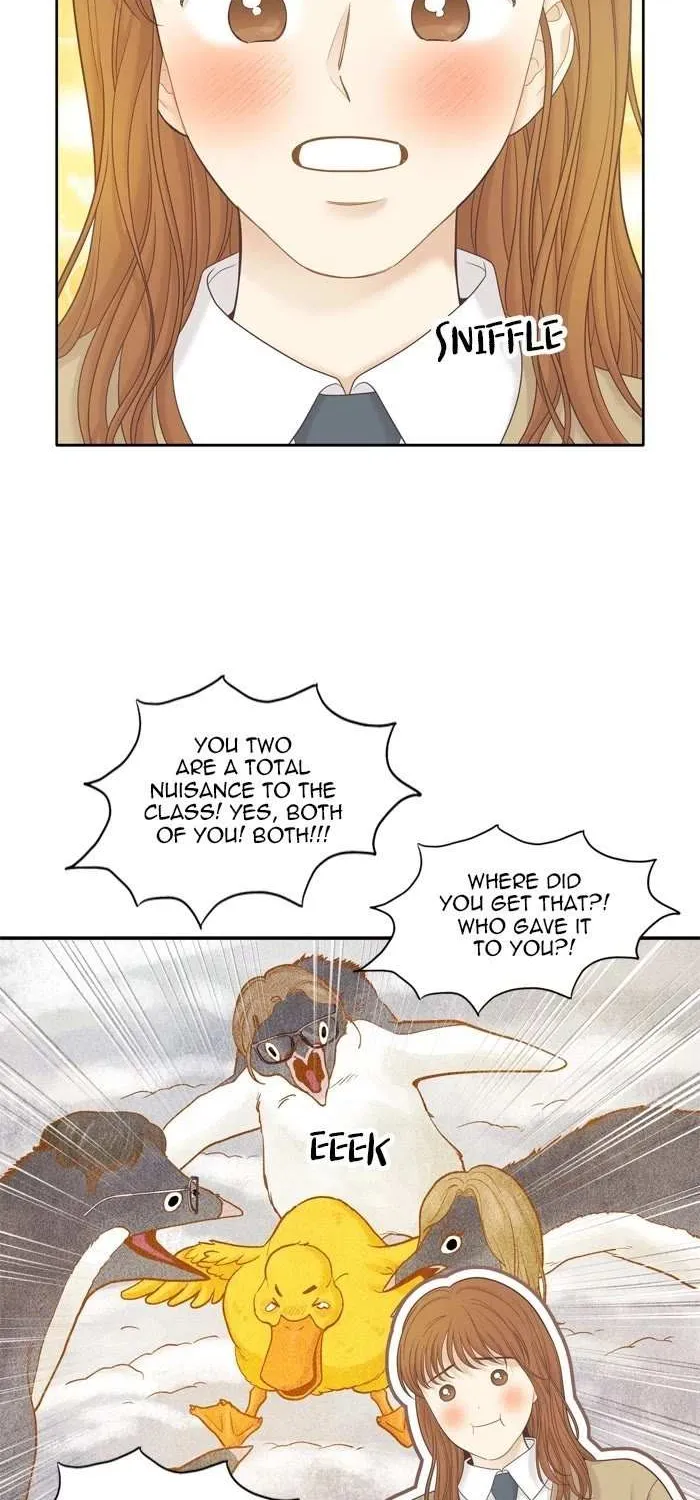Girl’s World ( World of Girl ) Chapter 437 page 34 - 