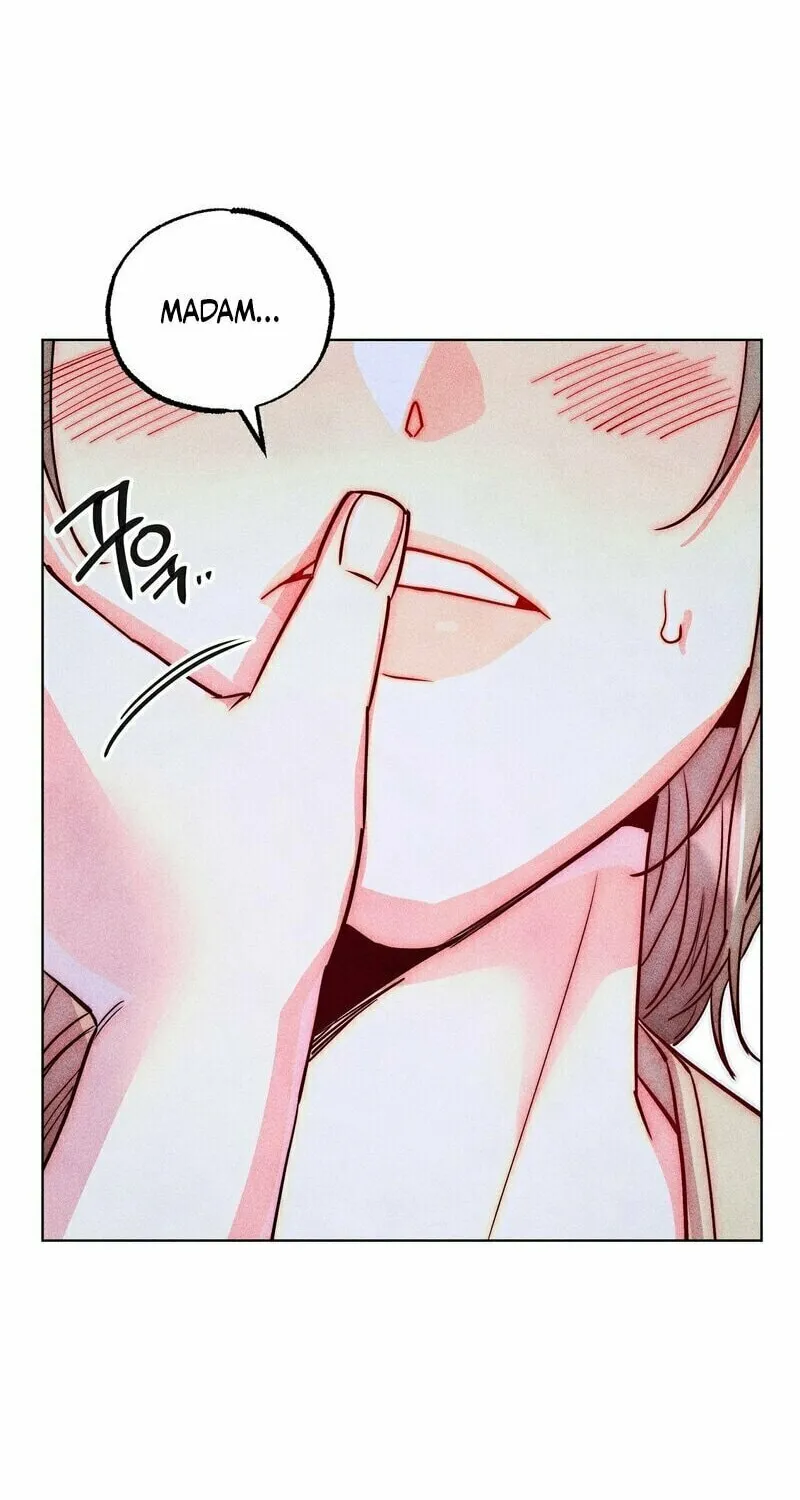 Gluttonous Widow Chapter 2 page 28 - 