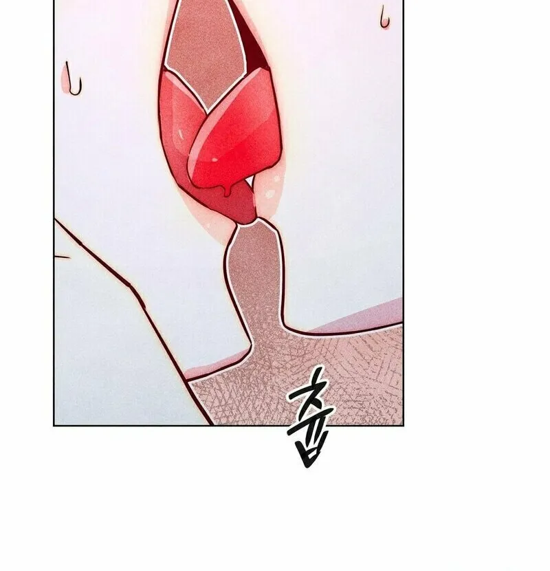Gluttonous Widow Chapter 2 page 36 - 