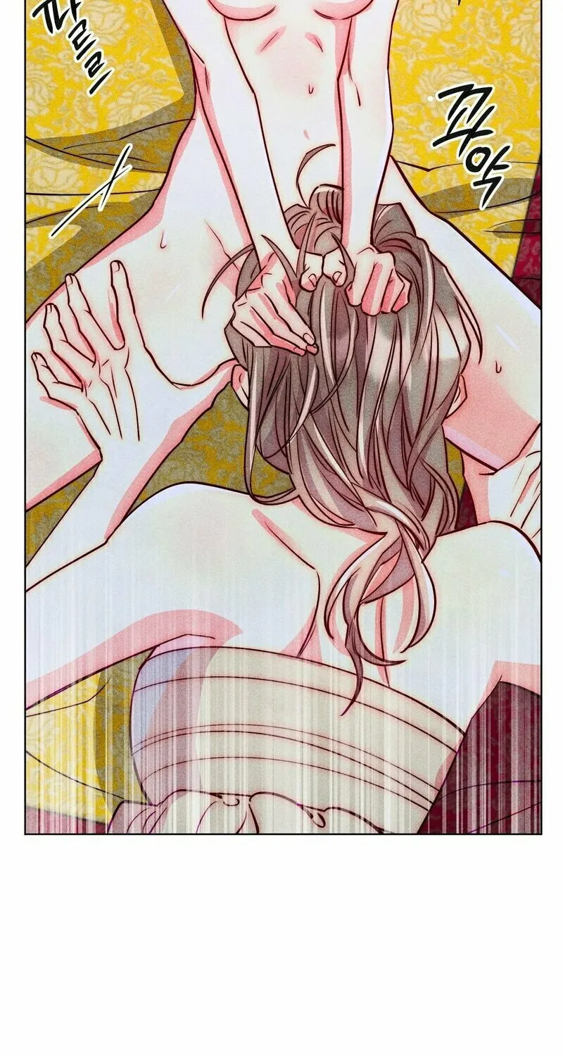 Gluttonous Widow Chapter 3 page 52 - 