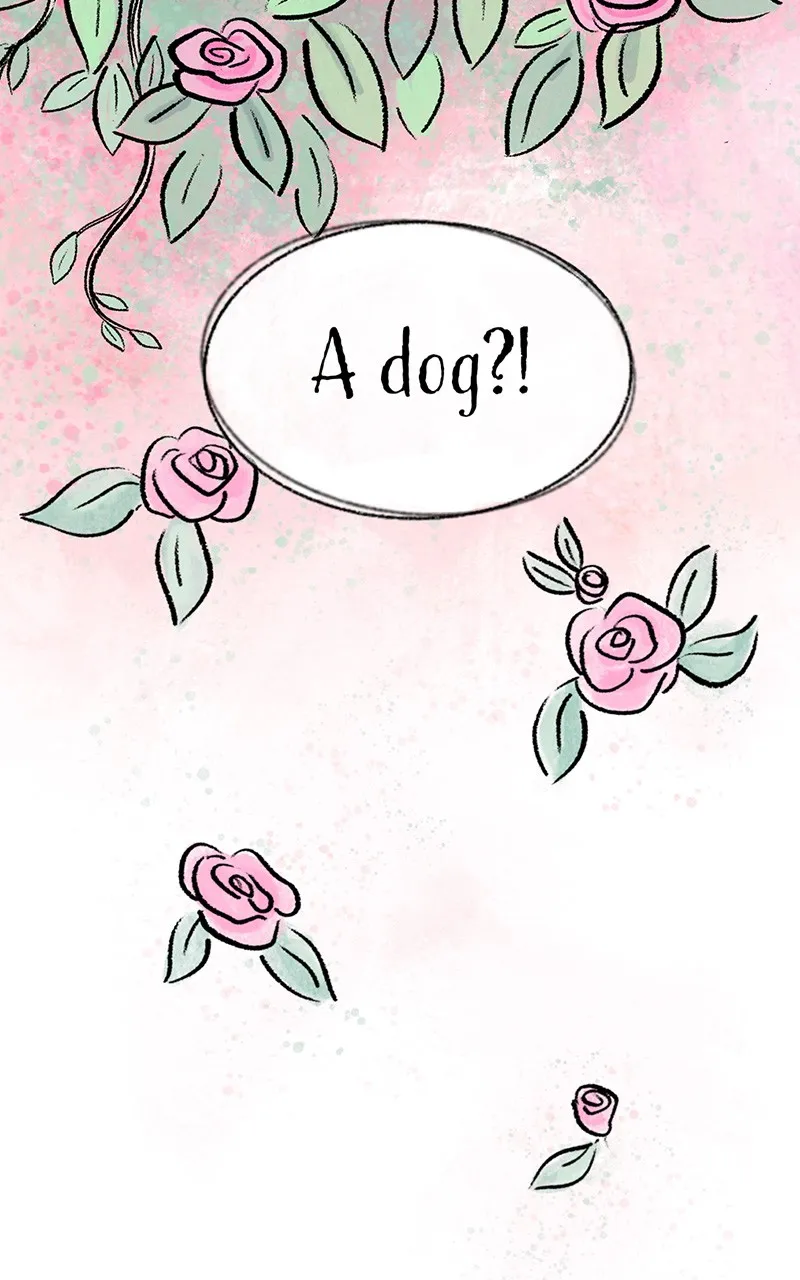 Going Up Chapter 1 page 101 - 