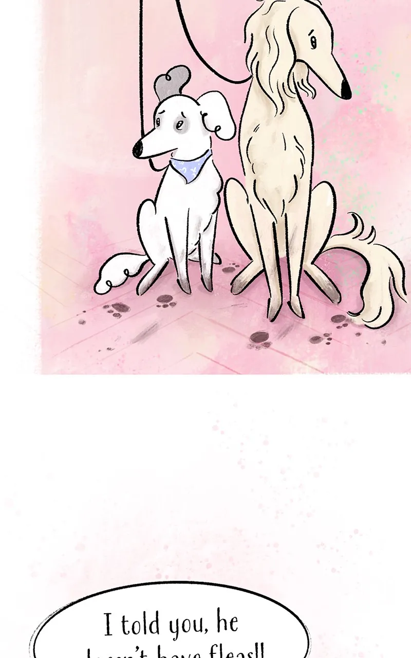 Going Up Chapter 2 page 77 - 