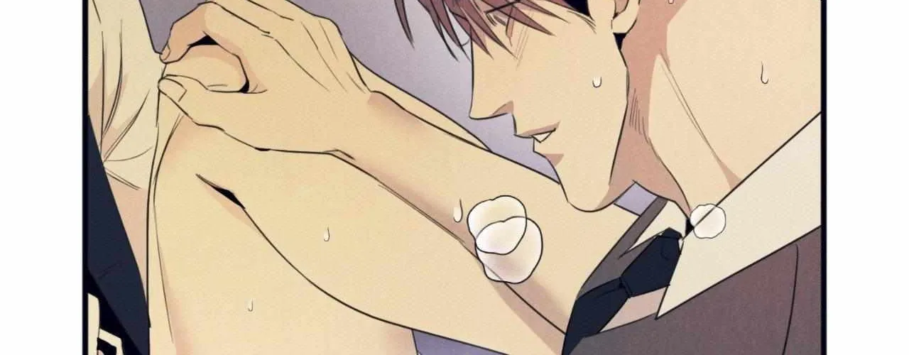 Golden Complex Chapter 4 page 174 - 