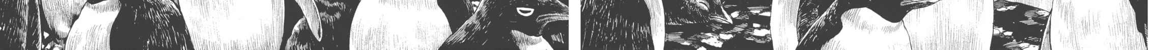 GON Selection Chapter 1 page 14 - 