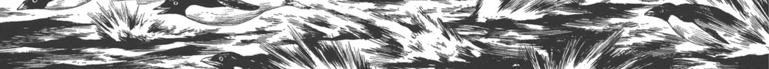 GON Selection Chapter 1 page 22 - 