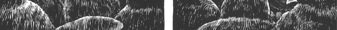 GON Selection Chapter 1 page 26 - 