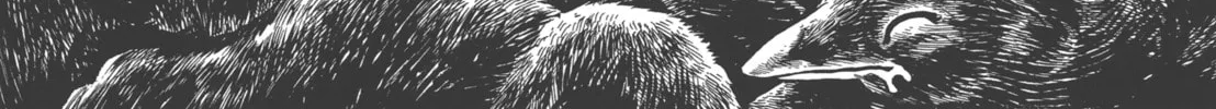 GON Selection Chapter 1 page 28 - 