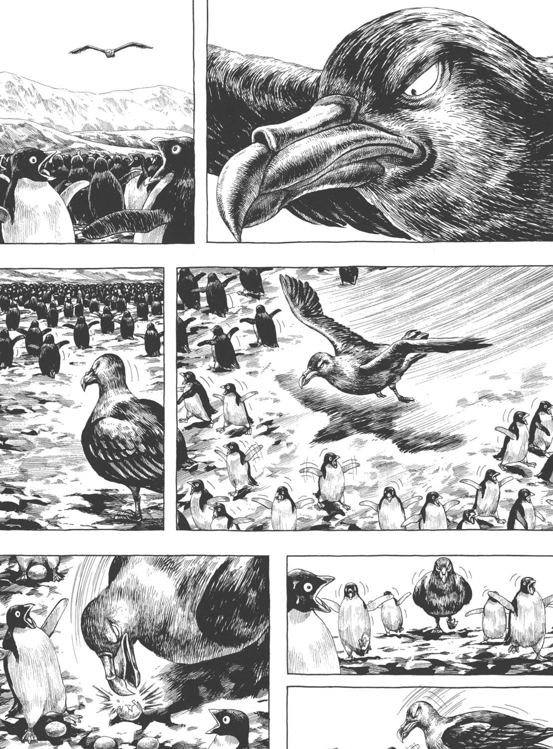 GON Selection Chapter 1 page 39 - 