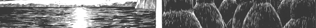 GON Selection Chapter 1 page 46 - 