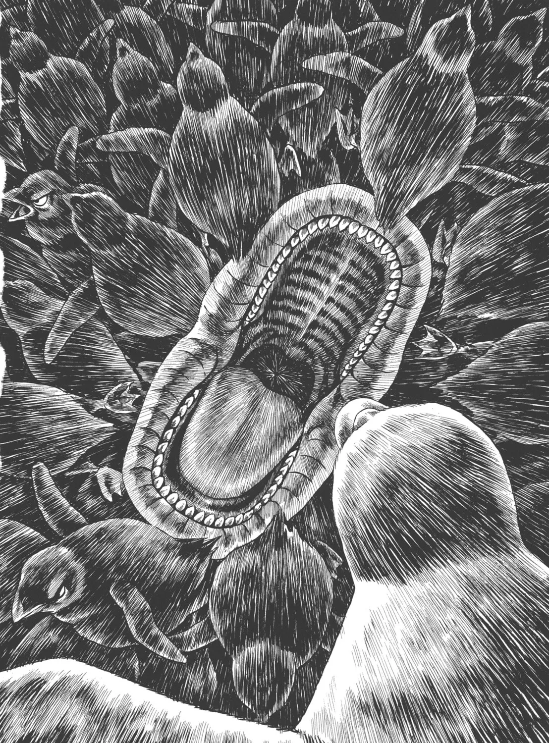 GON Selection Chapter 1 page 51 - 