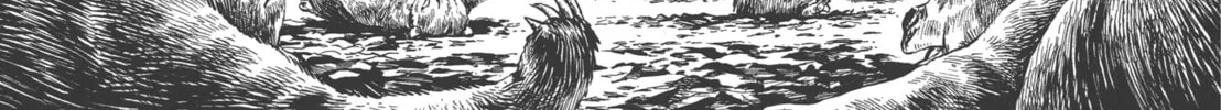 GON Selection Chapter 2 page 14 - 