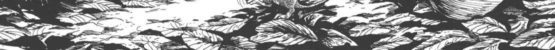 GON Selection Chapter 2 page 16 - 