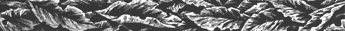 GON Selection Chapter 2 page 4 - 