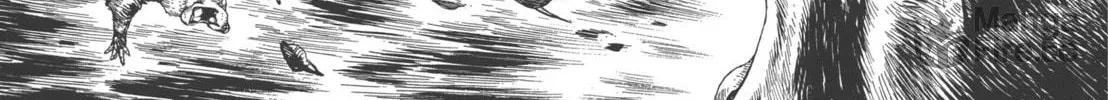 GON Selection Chapter 2 page 40 - 