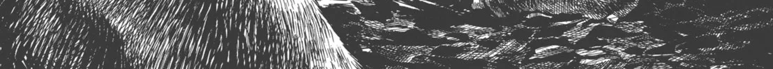 GON Selection Chapter 2 page 46 - 