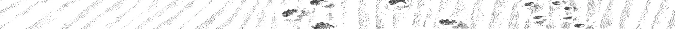 GON Selection Chapter 3 page 44 - 
