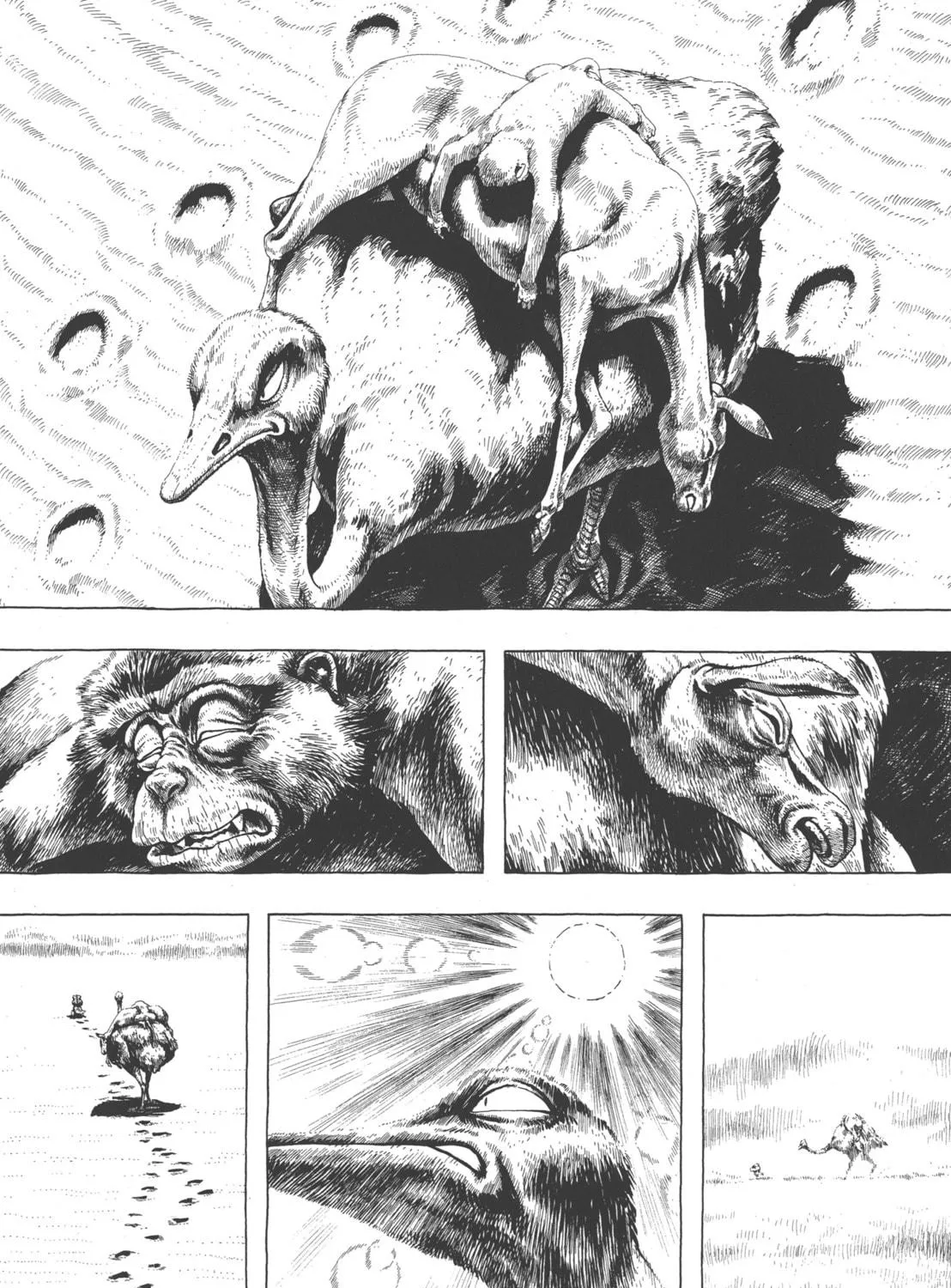 GON Selection Chapter 3 page 49 - 