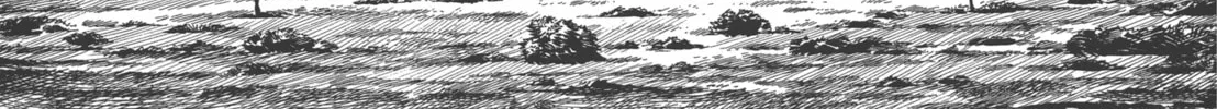 GON Selection Chapter 3 page 8 - 