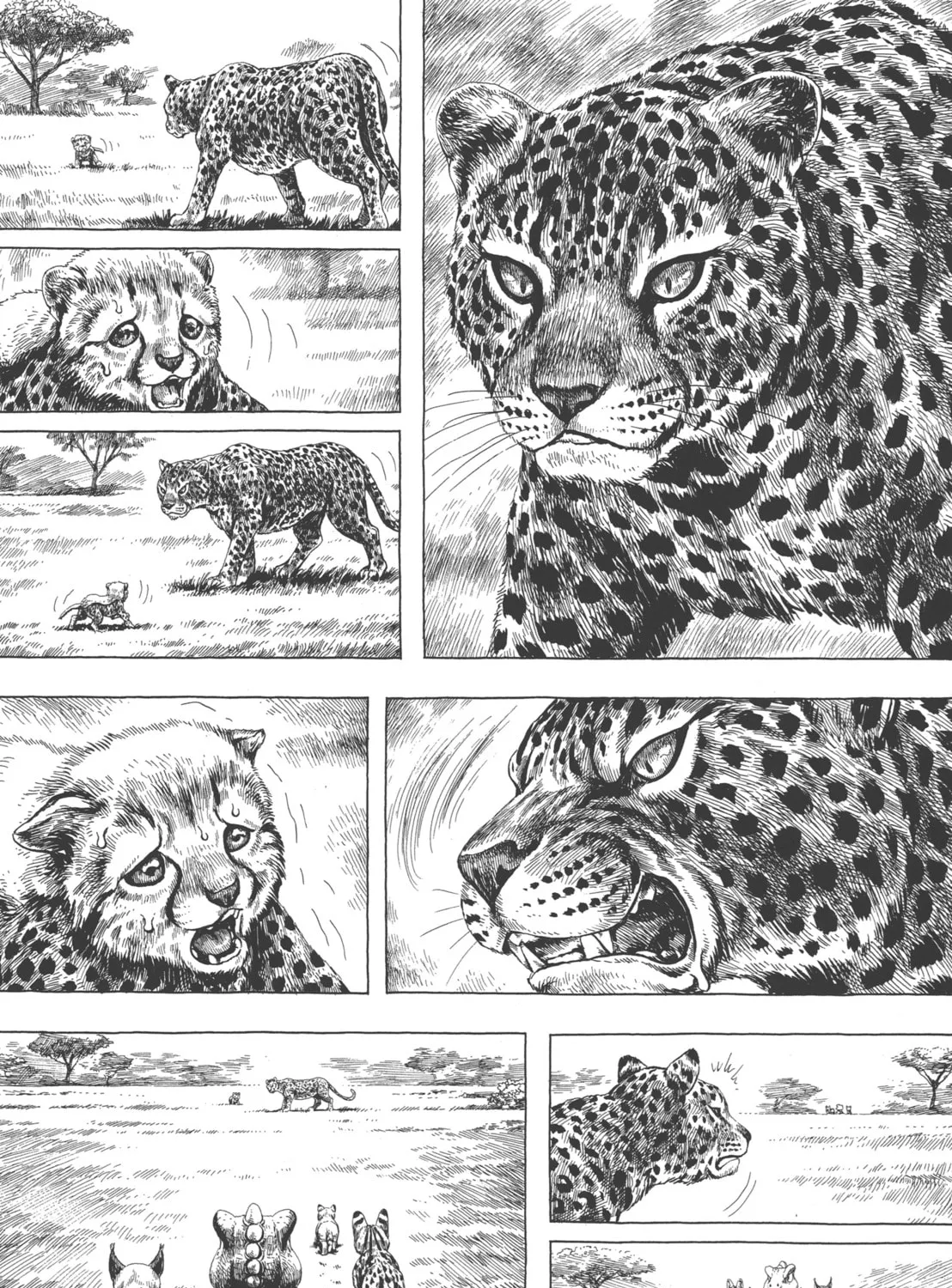 GON Selection Chapter 4 page 13 - 