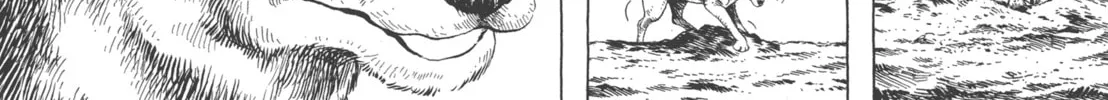 GON Selection Chapter 4 page 26 - 