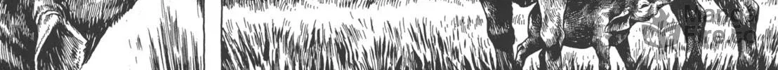 GON Selection Chapter 4 page 36 - 