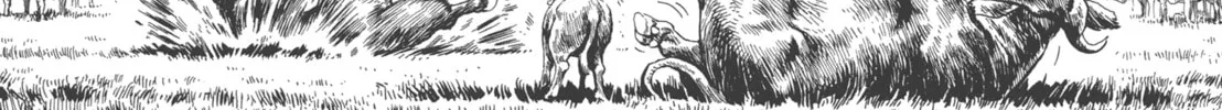 GON Selection Chapter 4 page 38 - 