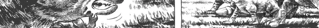 GON Selection Chapter 4 page 48 - 