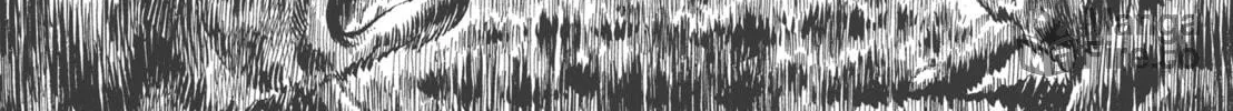 GON Selection Chapter 4 page 50 - 