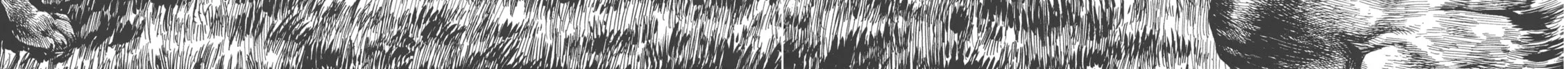 GON Selection Chapter 4 page 54 - 