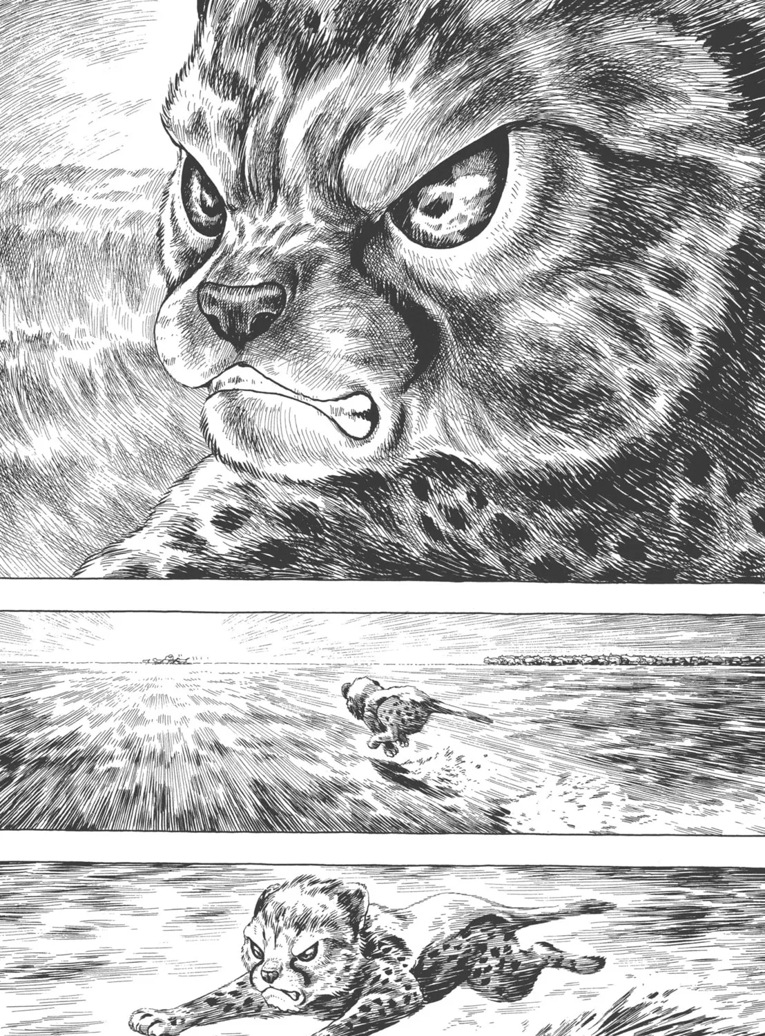 GON Selection Chapter 4 page 57 - 