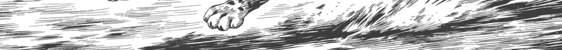 GON Selection Chapter 4 page 58 - 