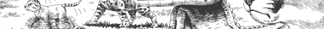 GON Selection Chapter 4 page 8 - 