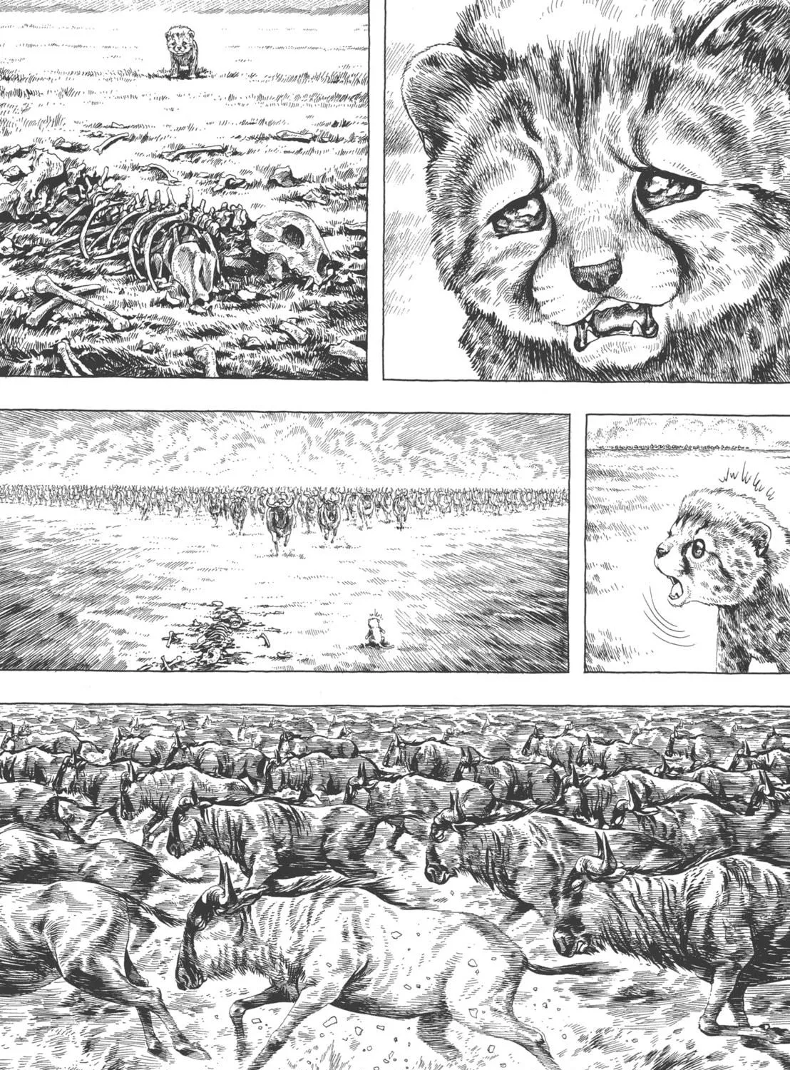 GON Selection Chapter 4 page 9 - 
