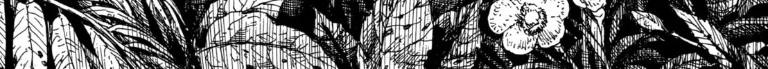 GON Selection Chapter 5 page 34 - 