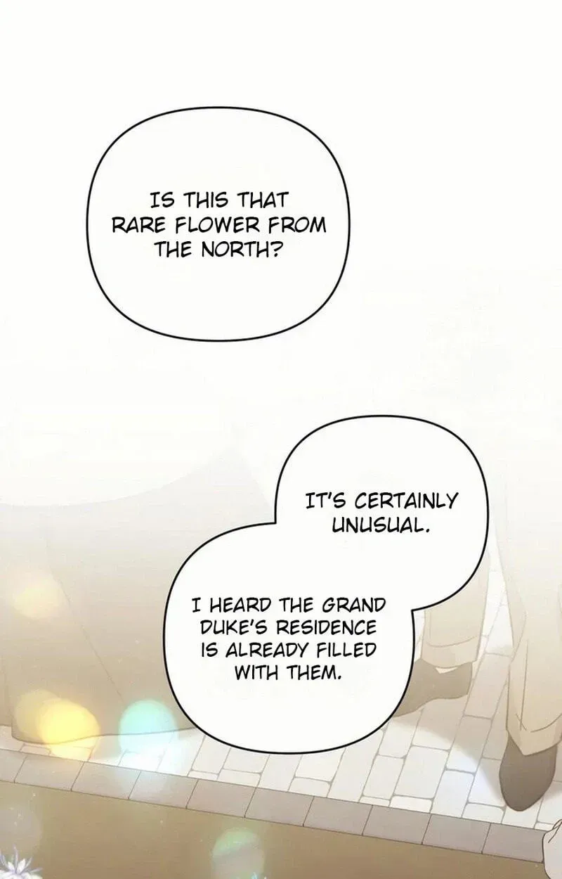Grand Duchess of the North, It's Cold Chapter 30 page 76 - 