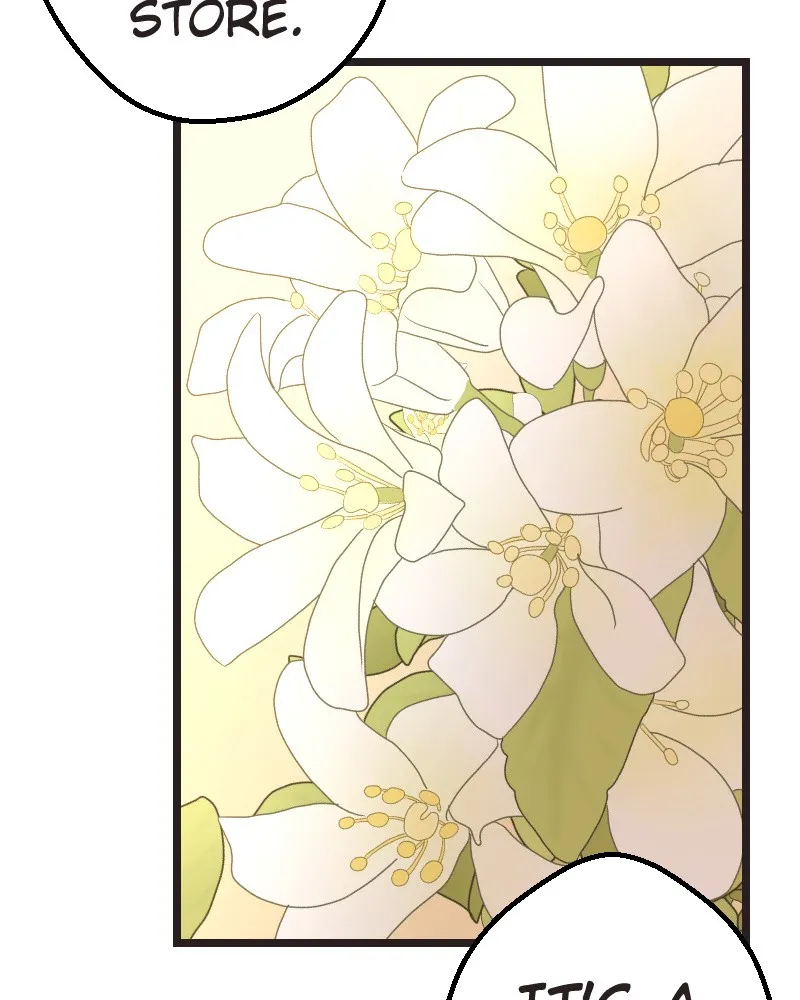 Grand Ma Chapter 10 page 66 - 