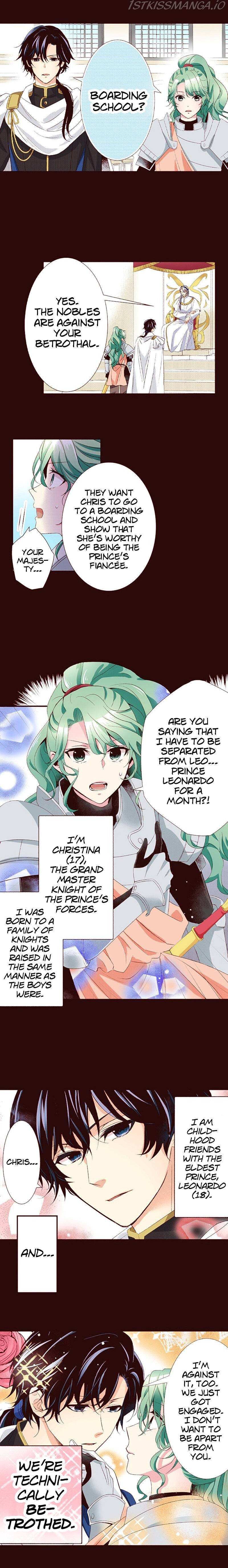 Grand Master Knight Has Become the Princess Chapter 13 page 3 - 