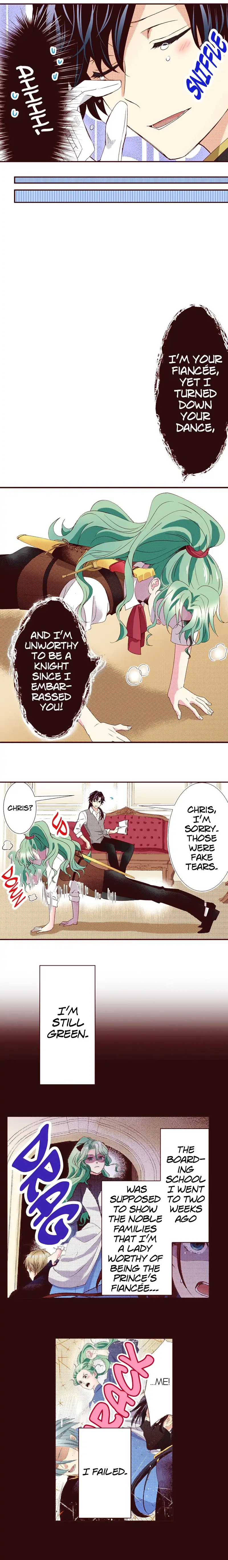 Grand Master Knight Has Become the Princess Chapter 21 page 4 - 