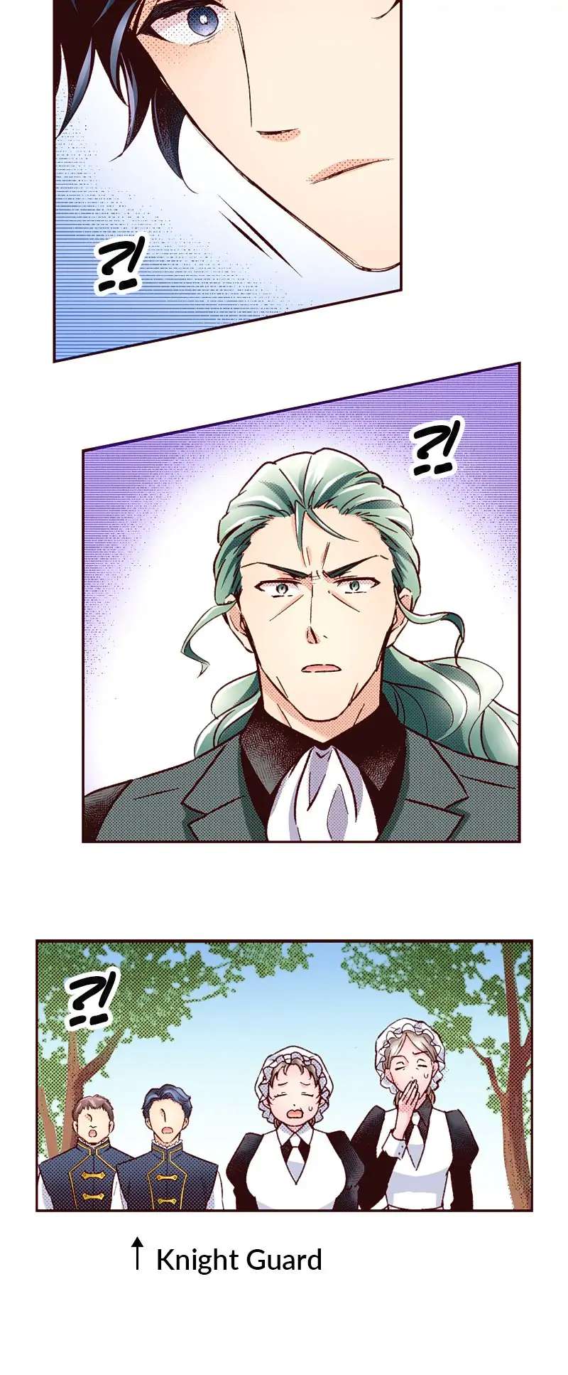 Grand Master Knight Has Become the Princess Chapter 27 page 12 - 