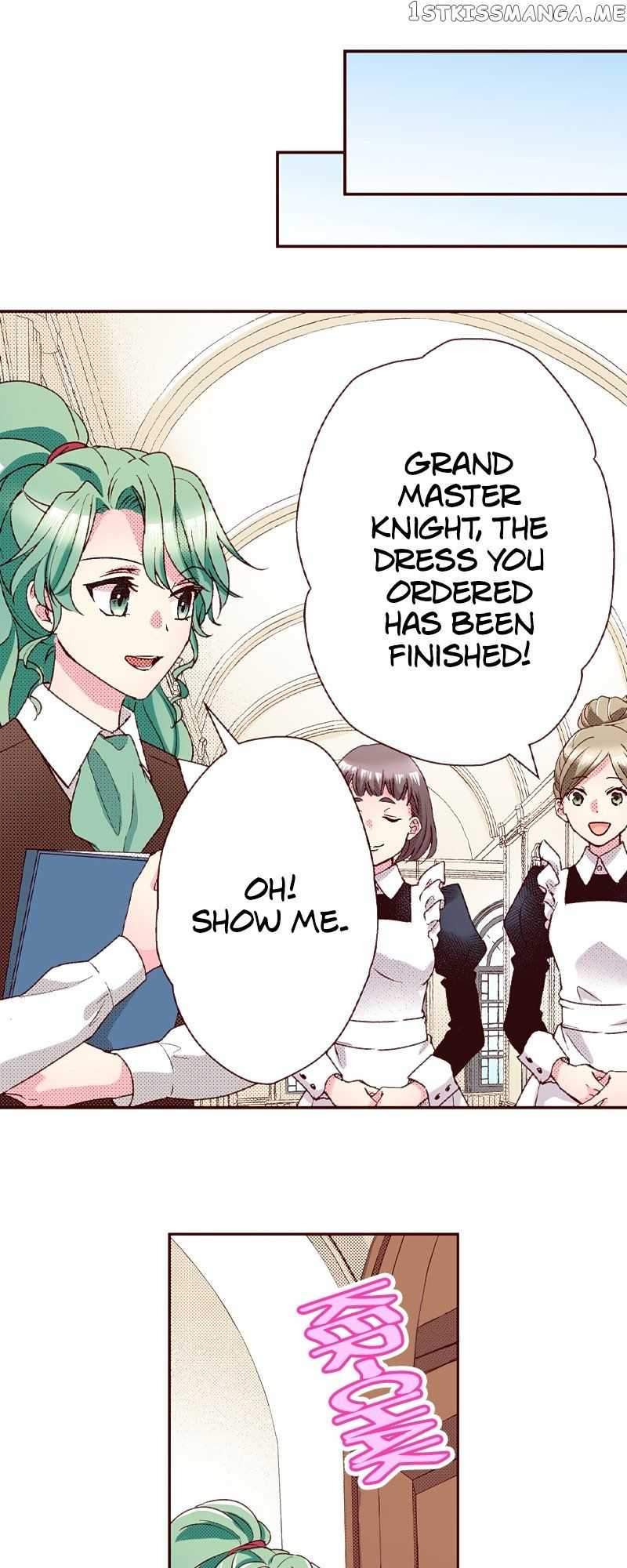 Grand Master Knight Has Become the Princess Chapter 29 page 26 - 