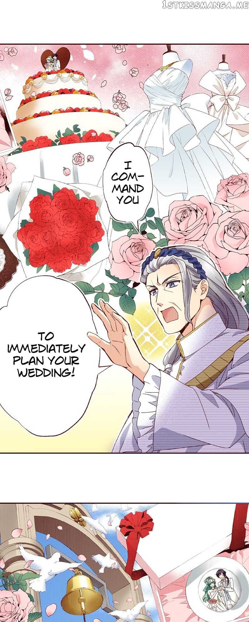 Grand Master Knight Has Become the Princess Chapter 29 page 8 - 