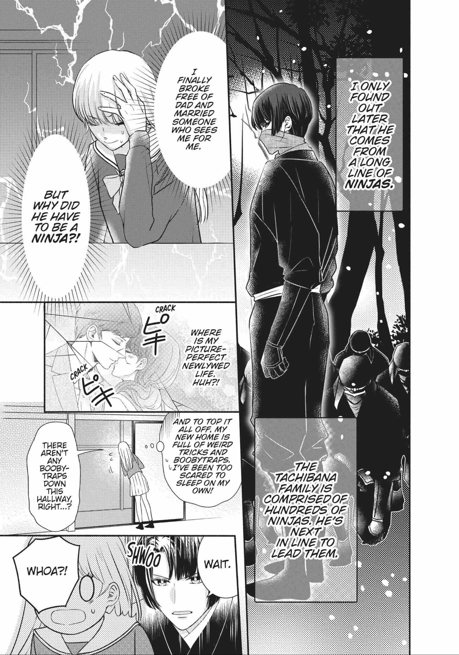 Grand Master Knight Has Become the Princess Chapter 3.2 page 12 - 