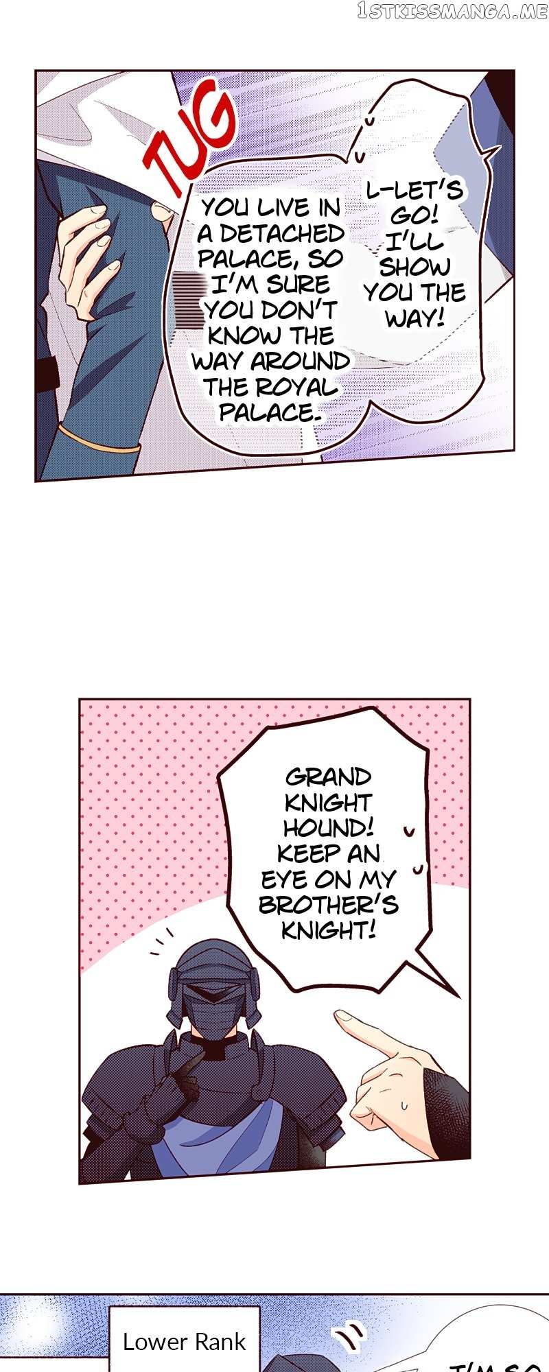 Grand Master Knight Has Become the Princess Chapter 31 page 29 - 