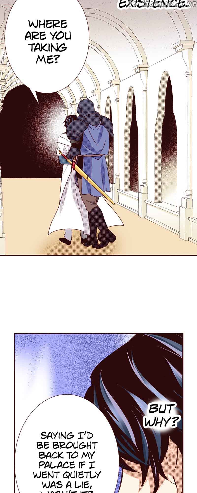 Grand Master Knight Has Become the Princess Chapter 33 page 17 - 